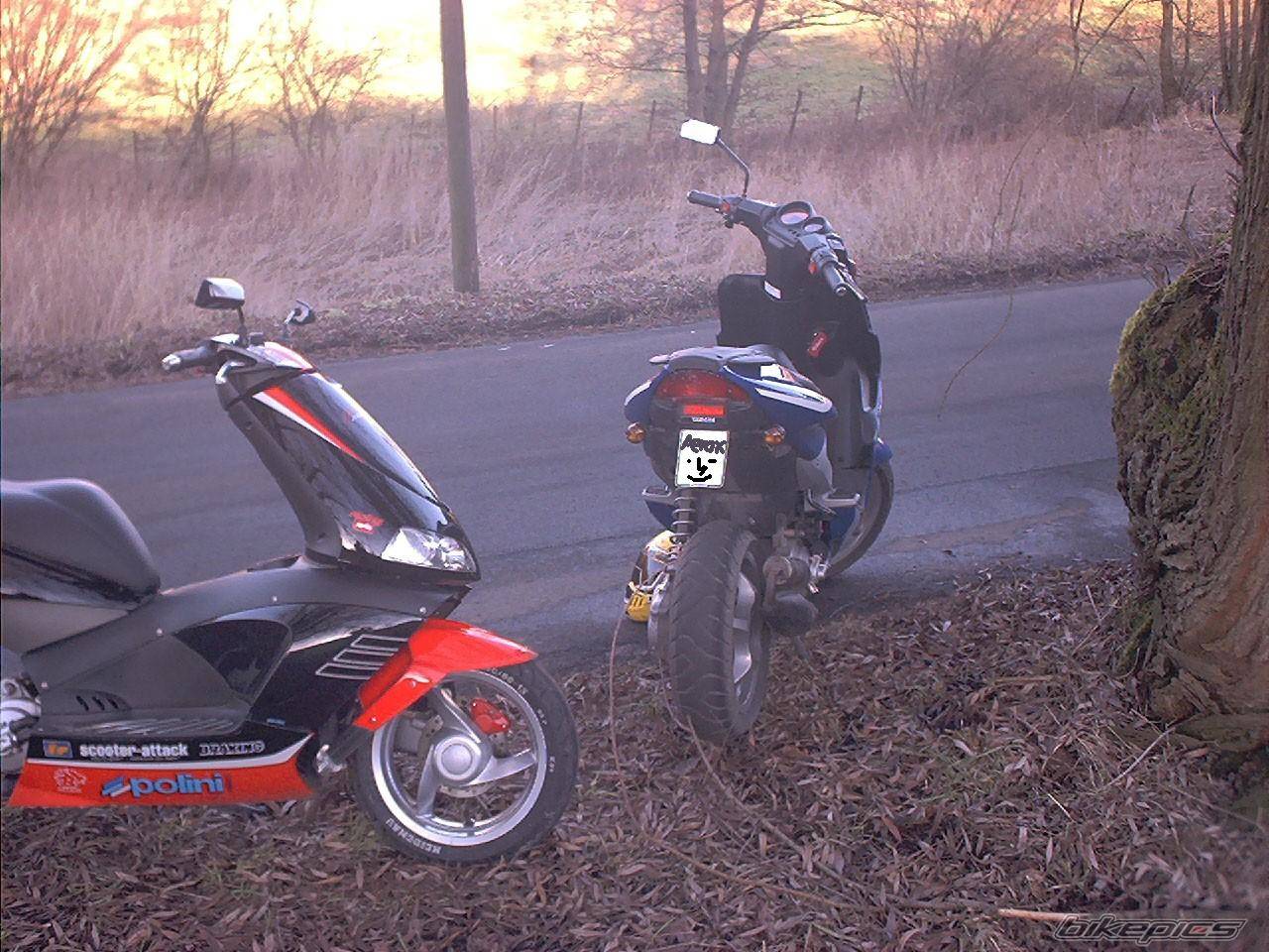 Photo 17507