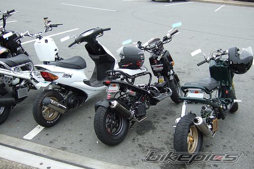 Photo 1750704