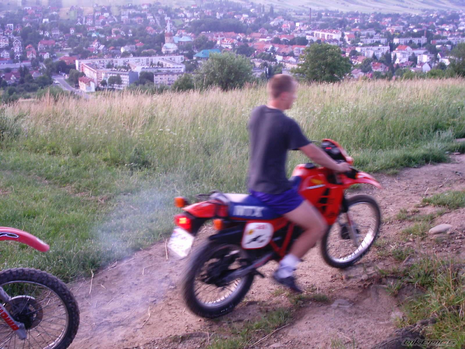 Photo 175071