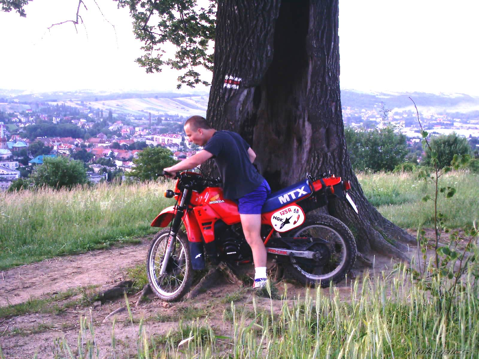 Bike Photo 175072