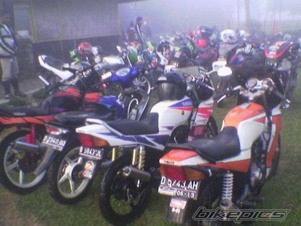 Photo 1750957