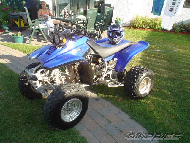 Photo 175096