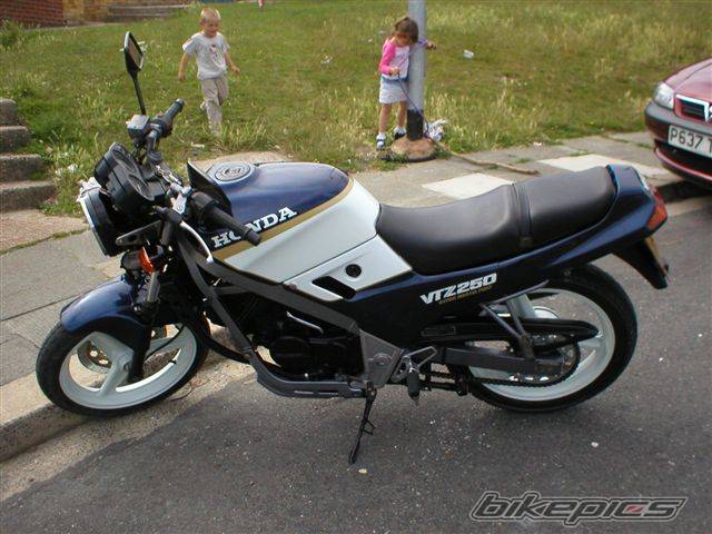 Photo 175099
