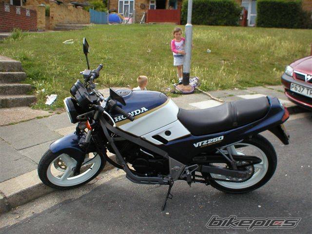 Photo 175102