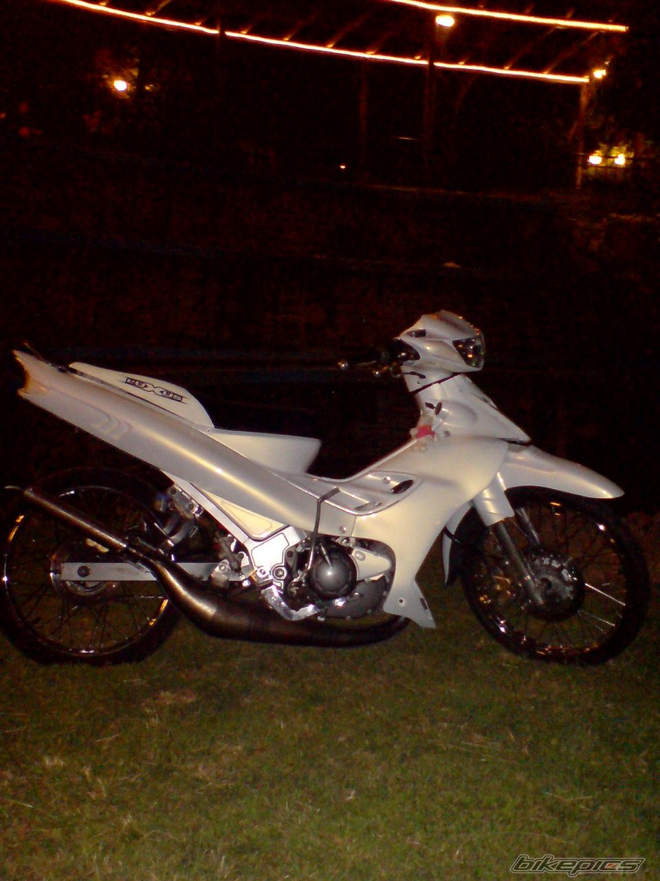 Photo 1751033