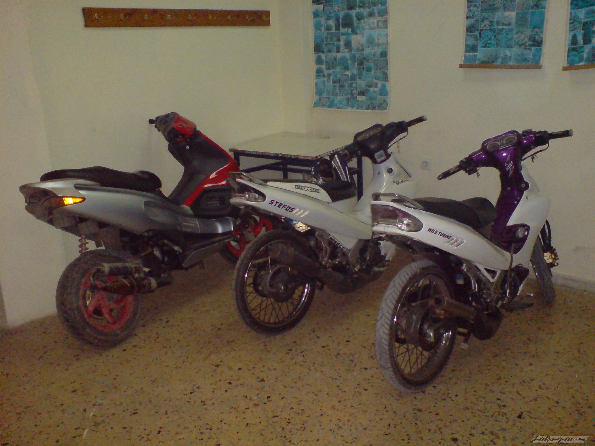Photo 1751037
