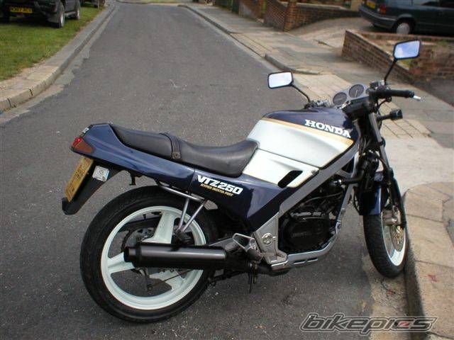Photo 175105
