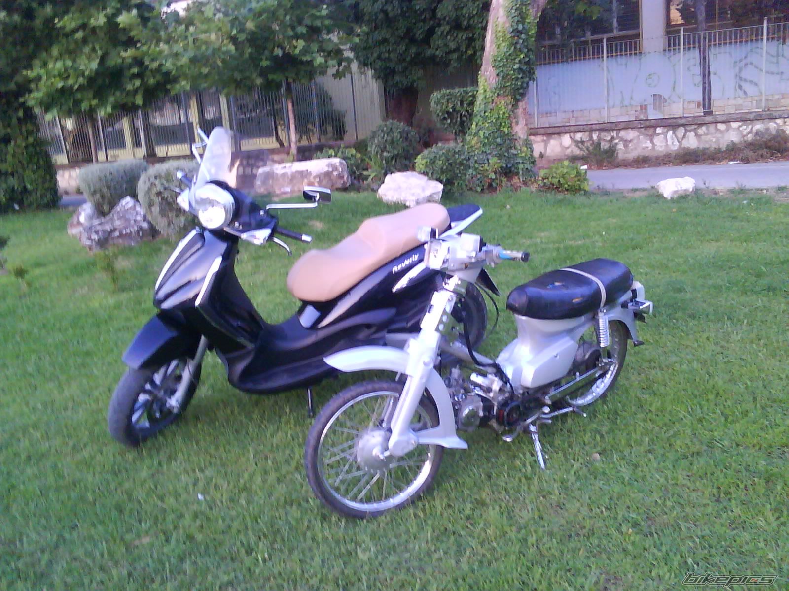 Photo 1751084