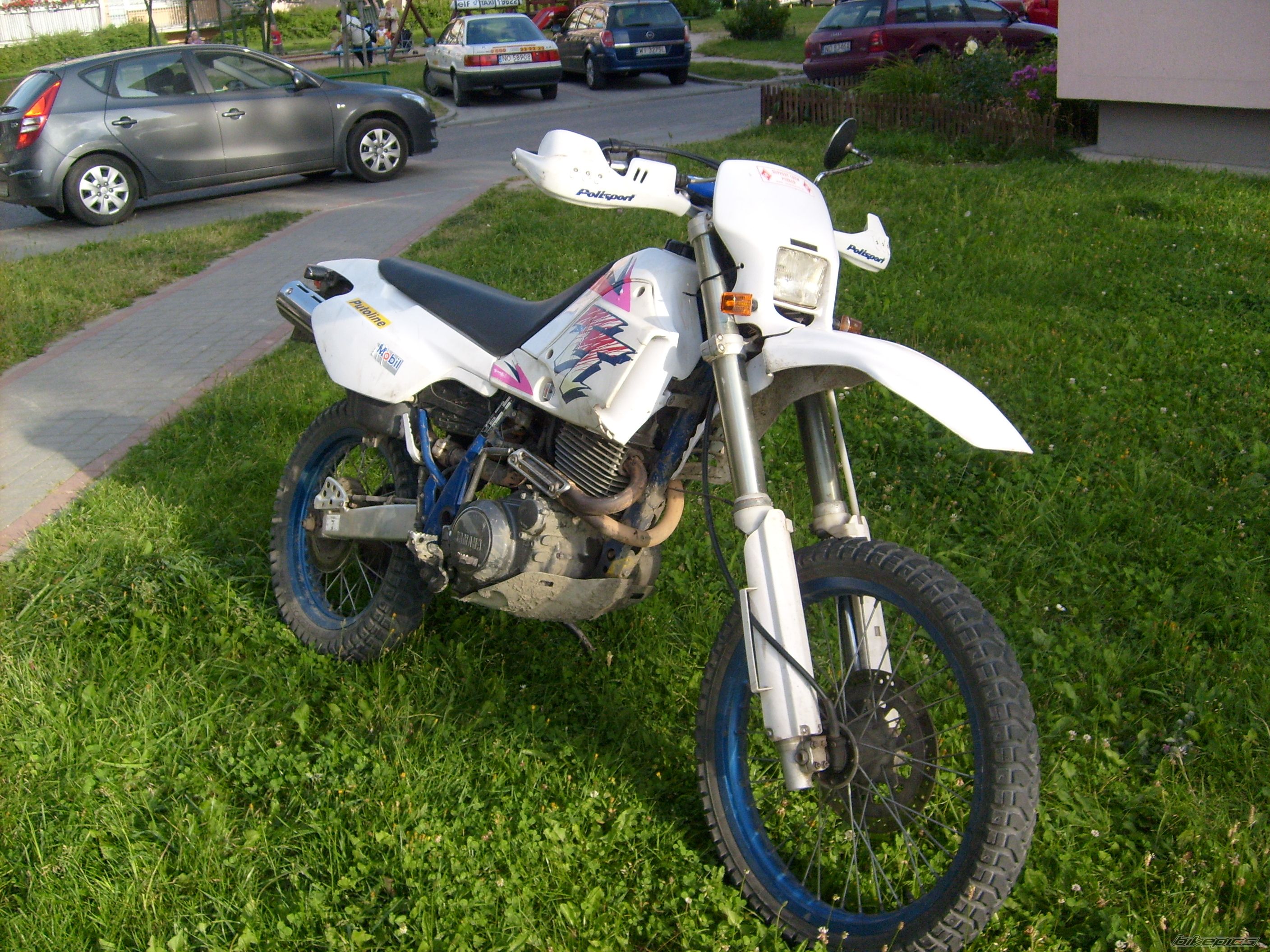 Photo 1751117