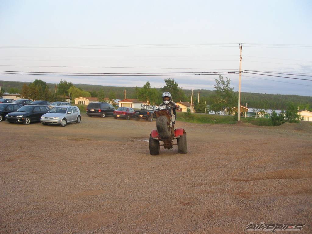 Photo 175148