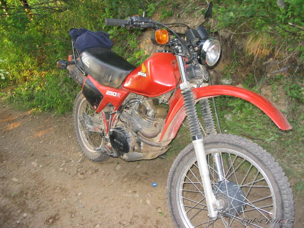 Bike Photo 175149