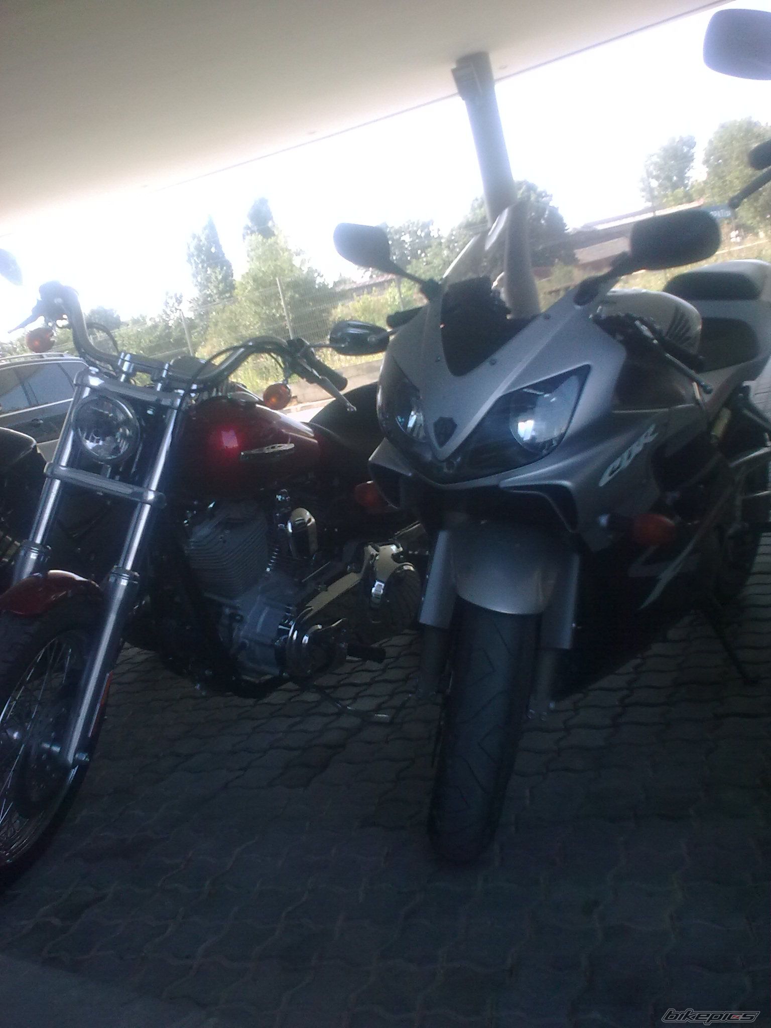 Photo 1751529
