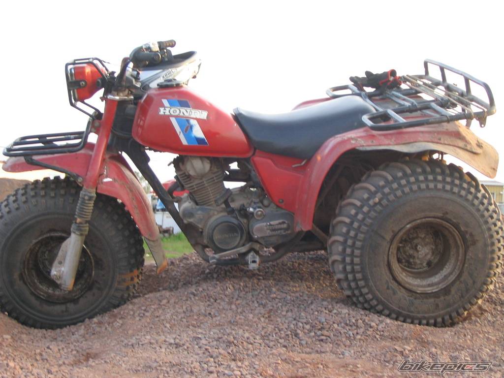 Photo 175153