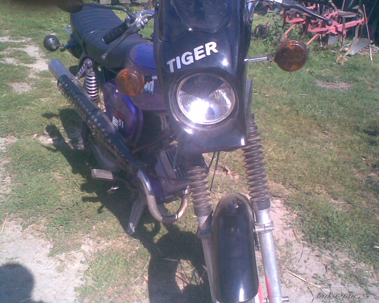 Photo 1751578