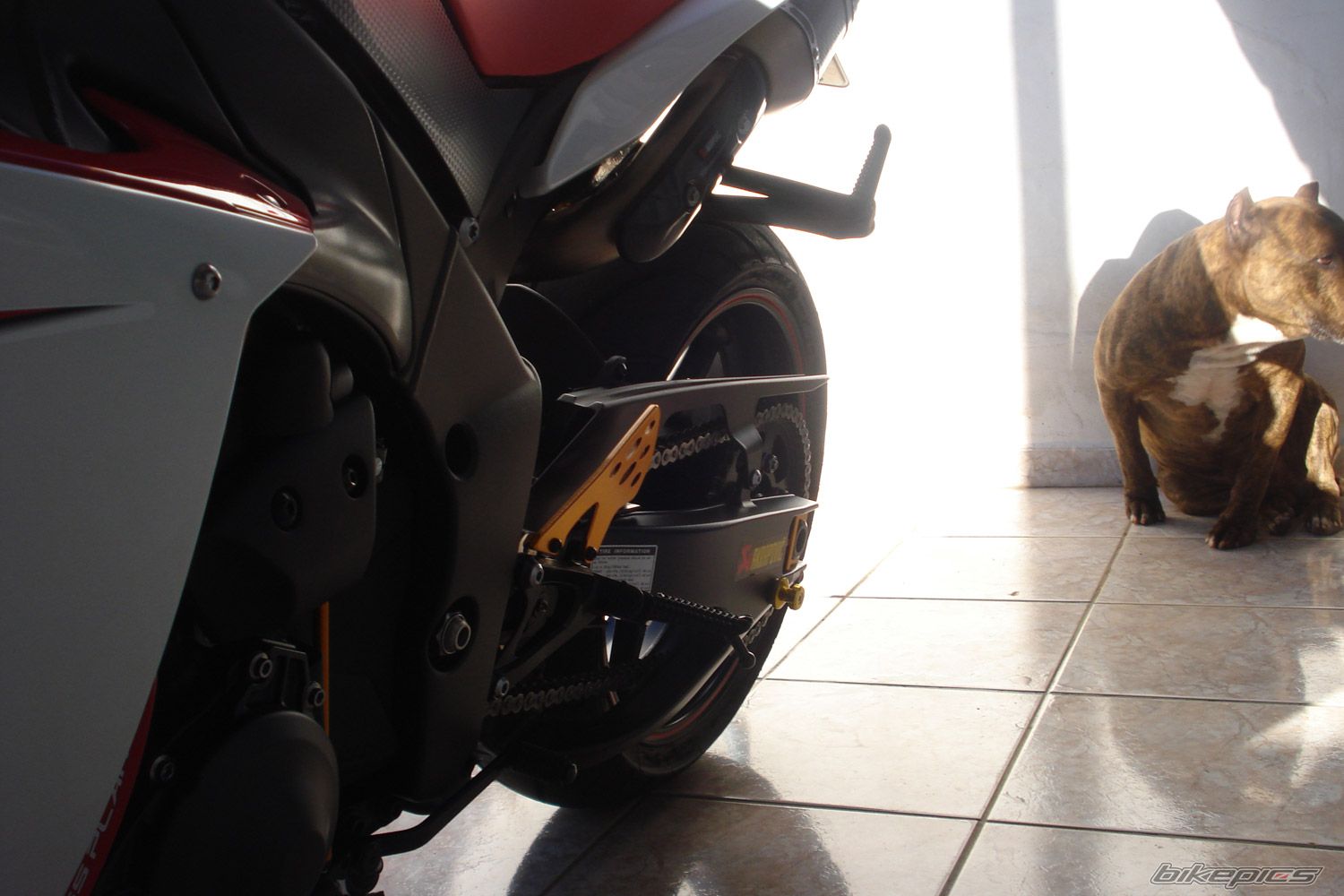 Bike Photo 1751645