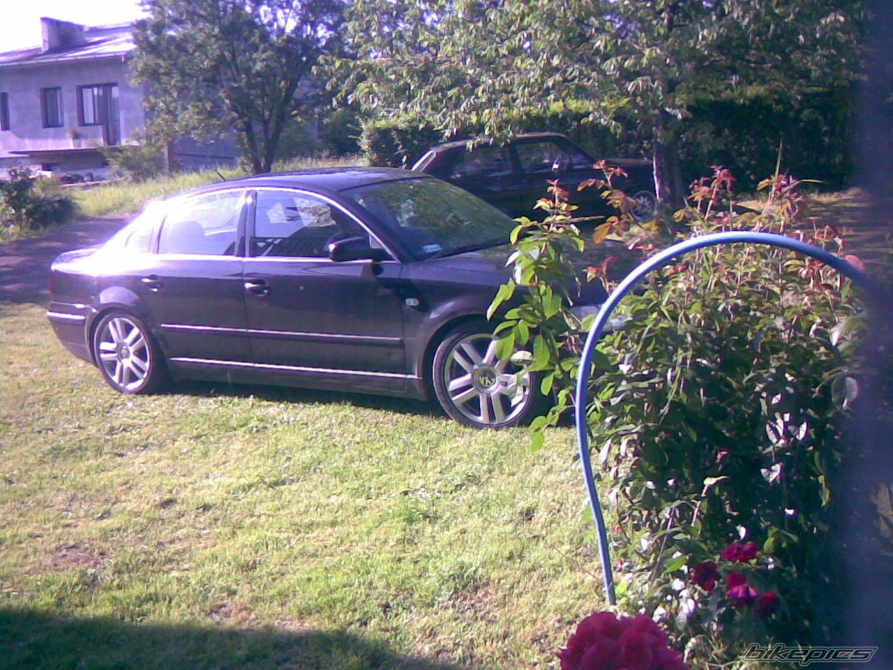 Photo 1751872