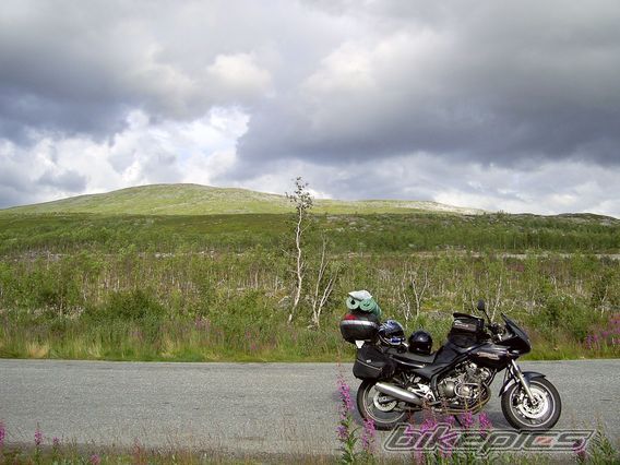 Photo 1752264