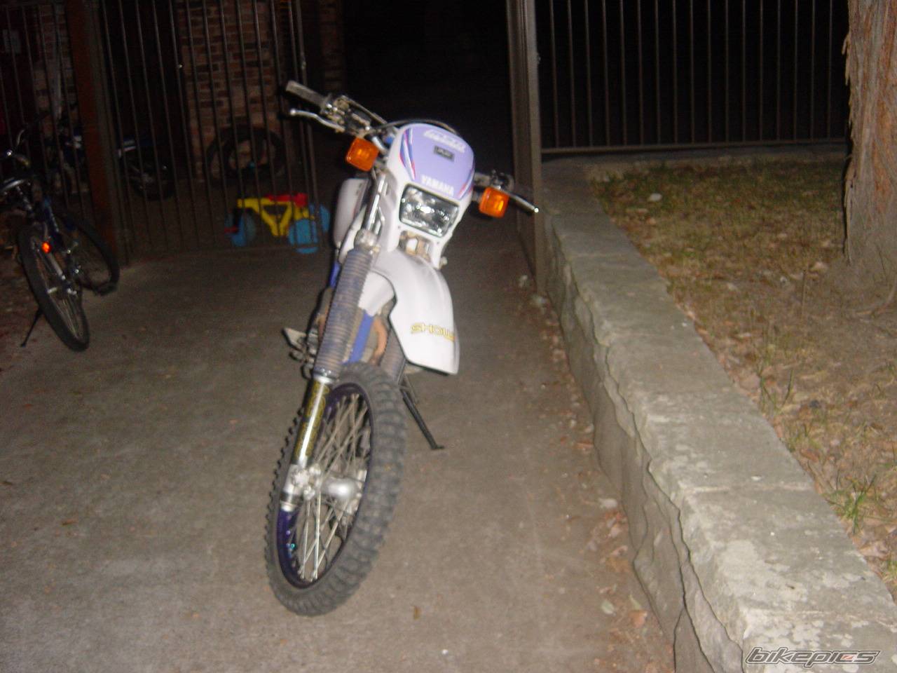 Photo 175233