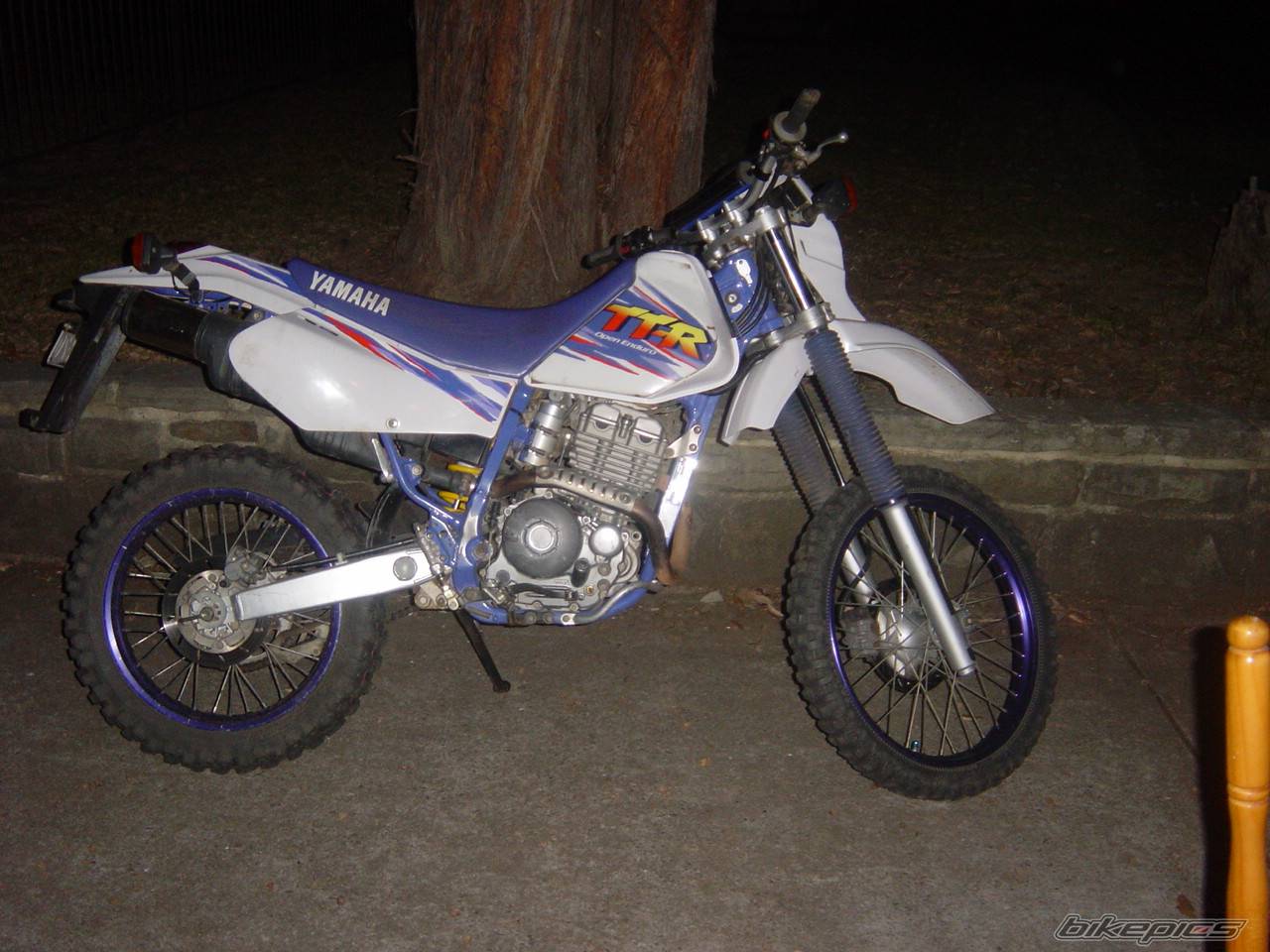 Photo 175234