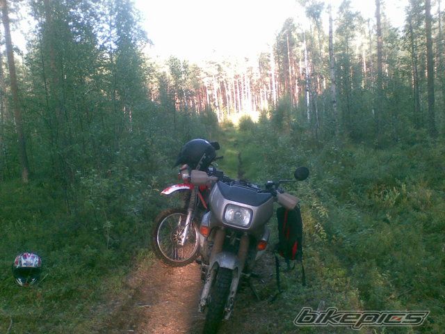 Photo 1752447
