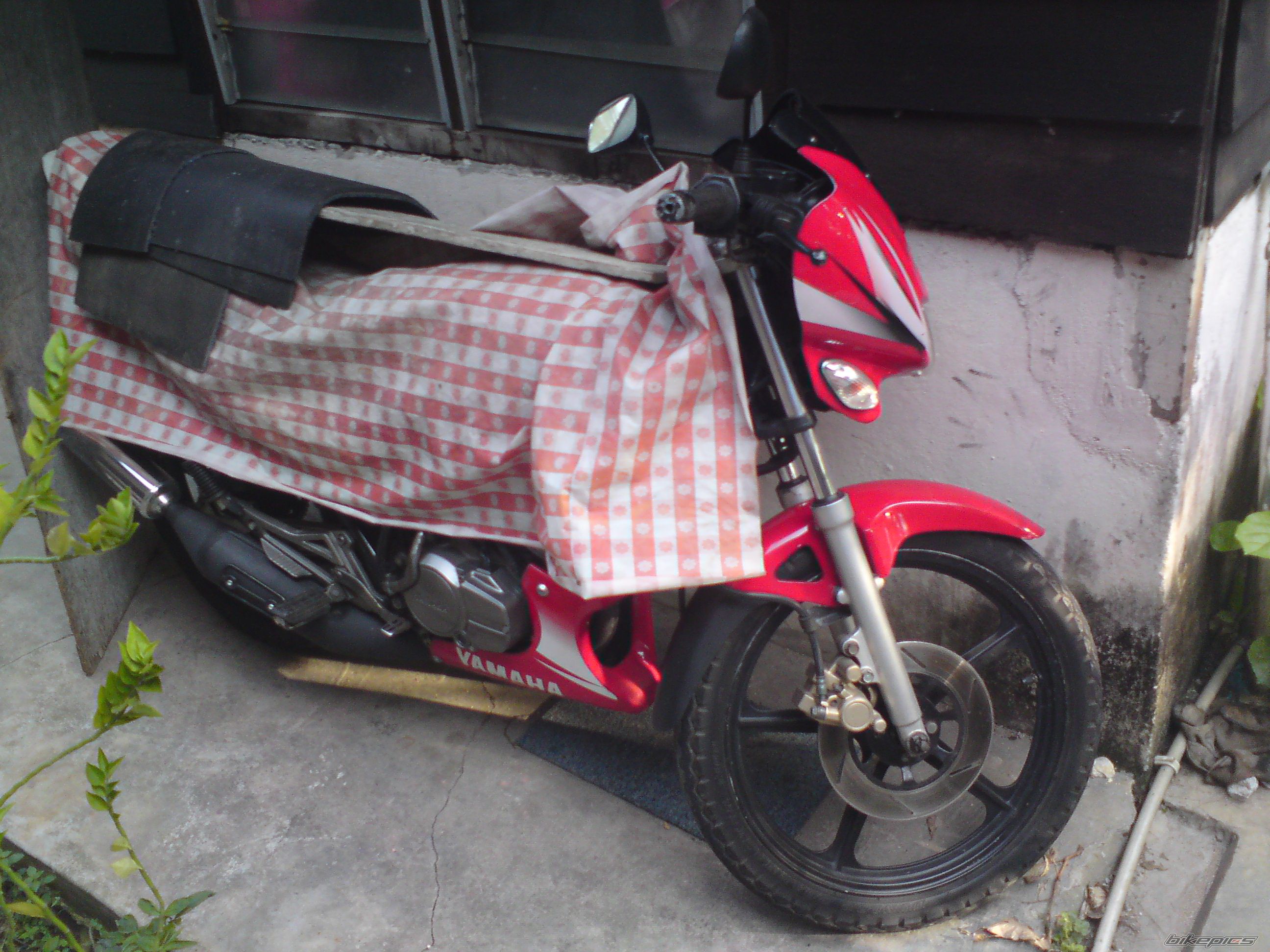 Photo 1752467