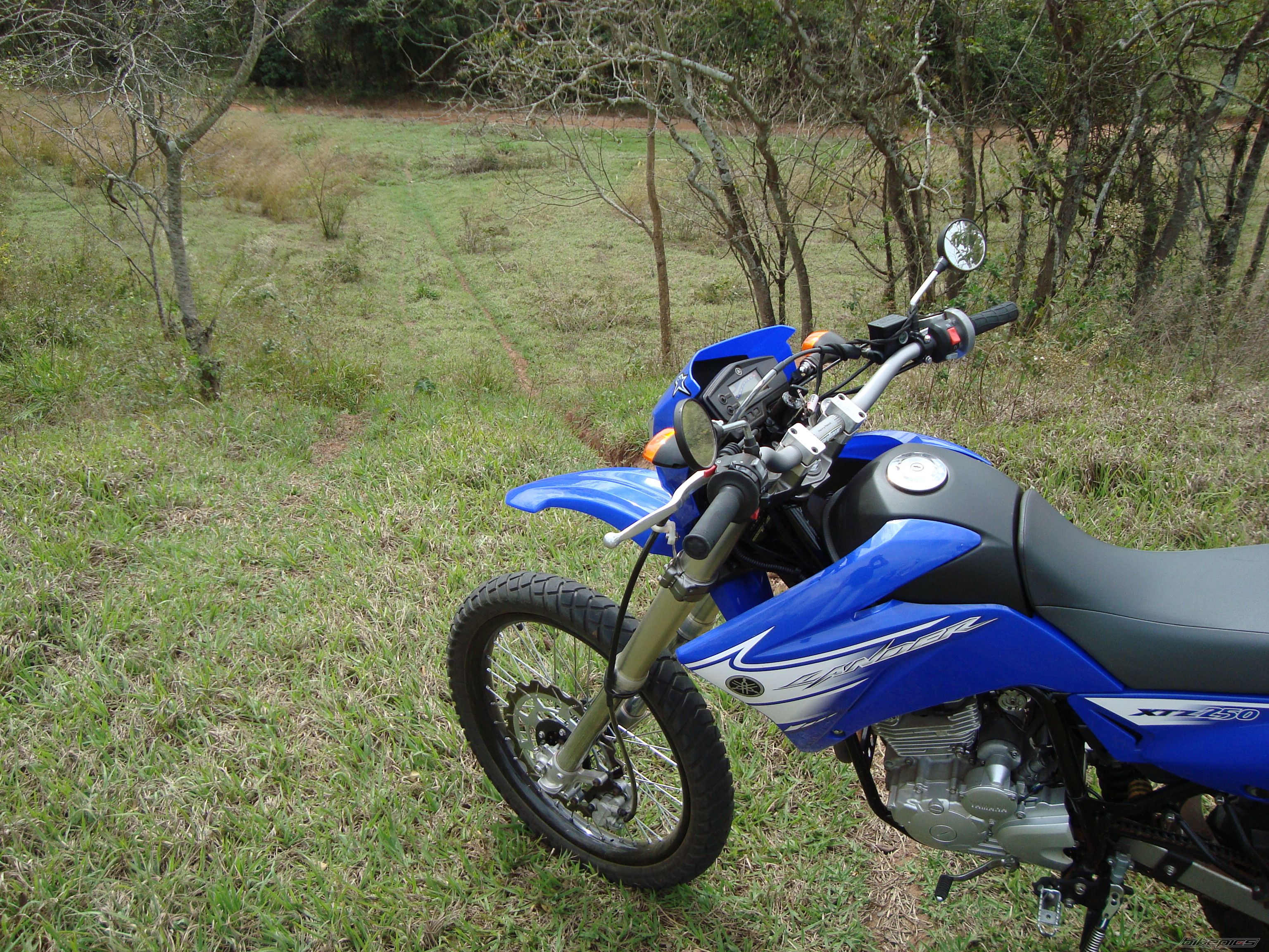 Photo 1752518