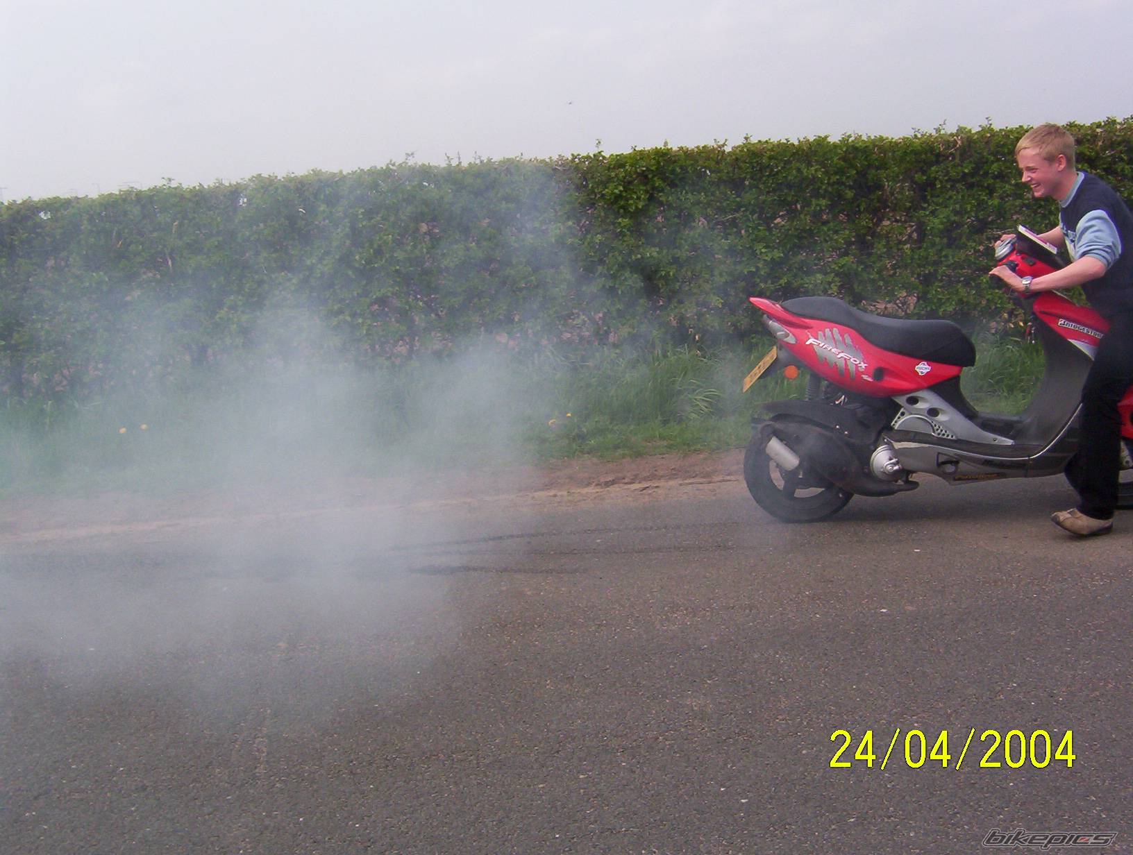 Photo 175254
