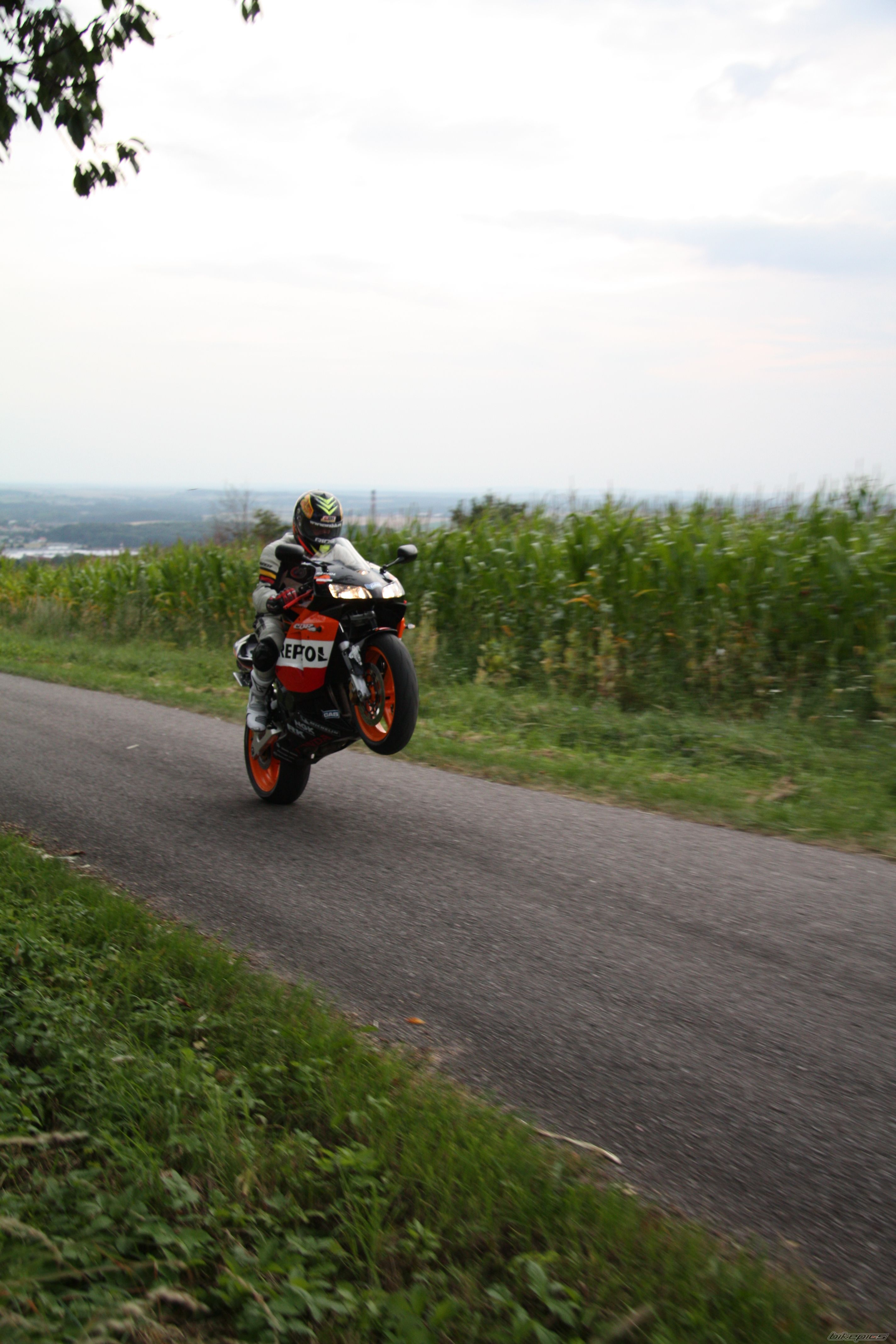 Photo 1752544