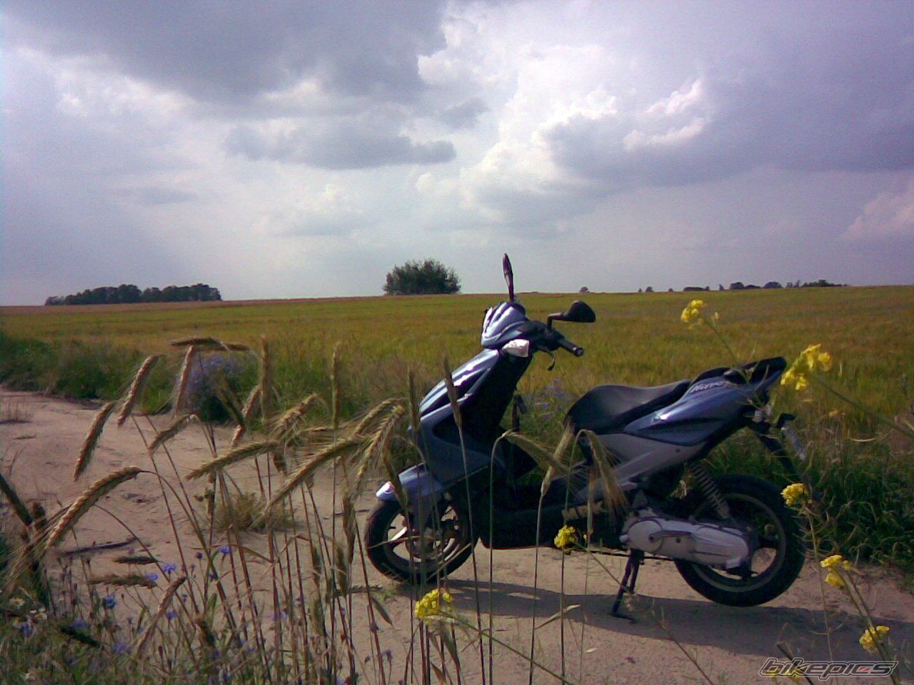 Photo 1752631