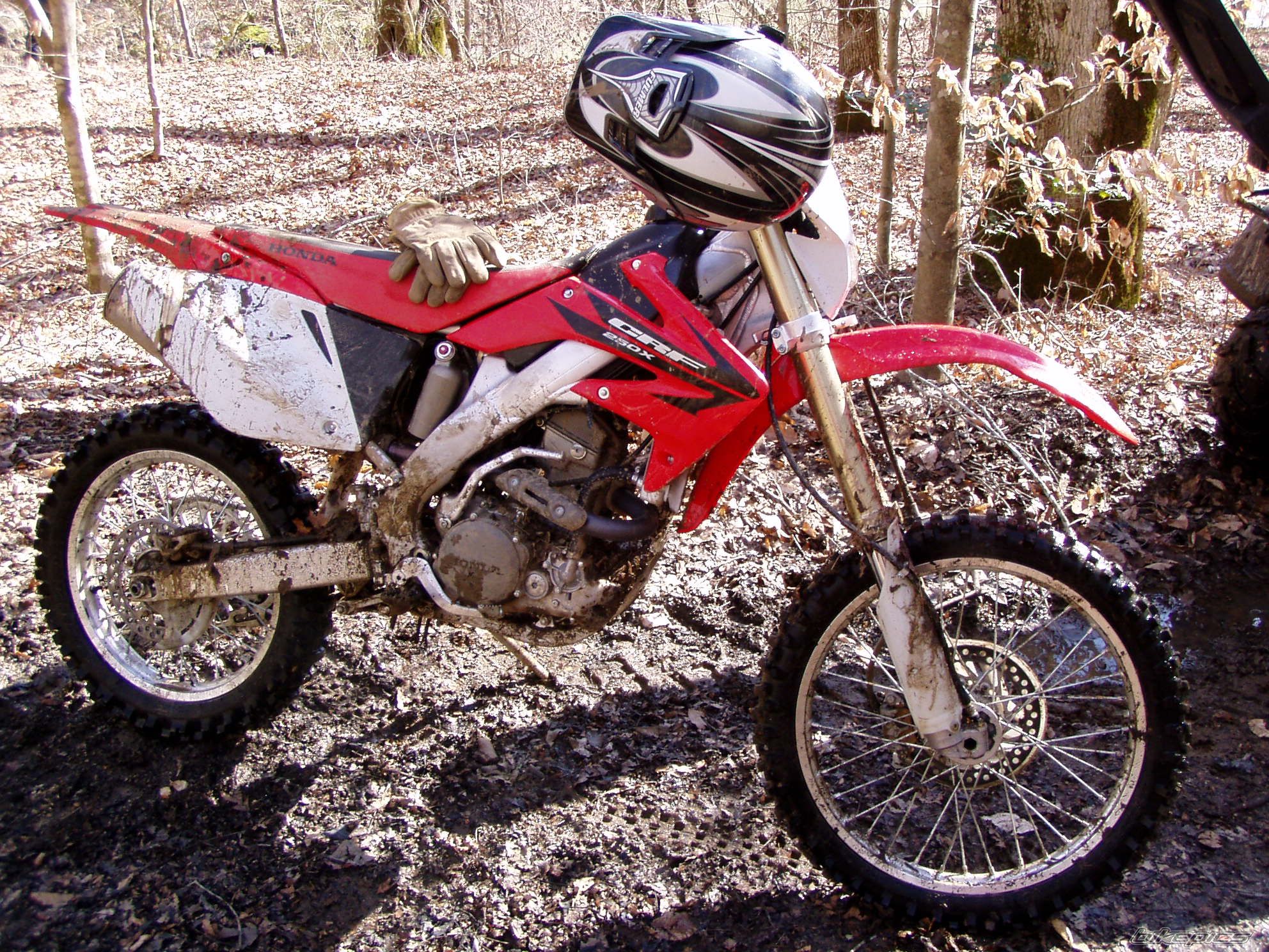 Photo 1752642