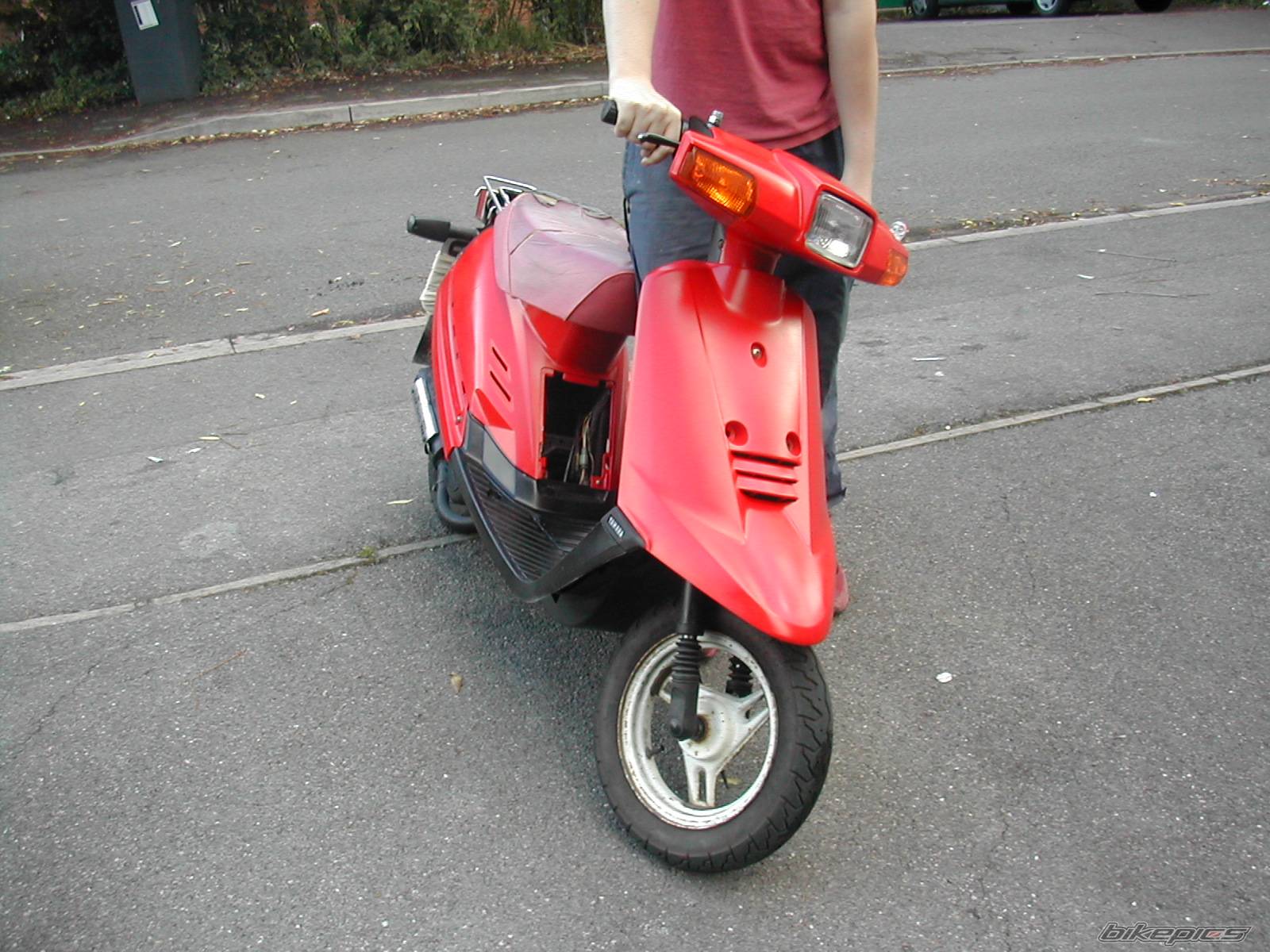 Photo 175272