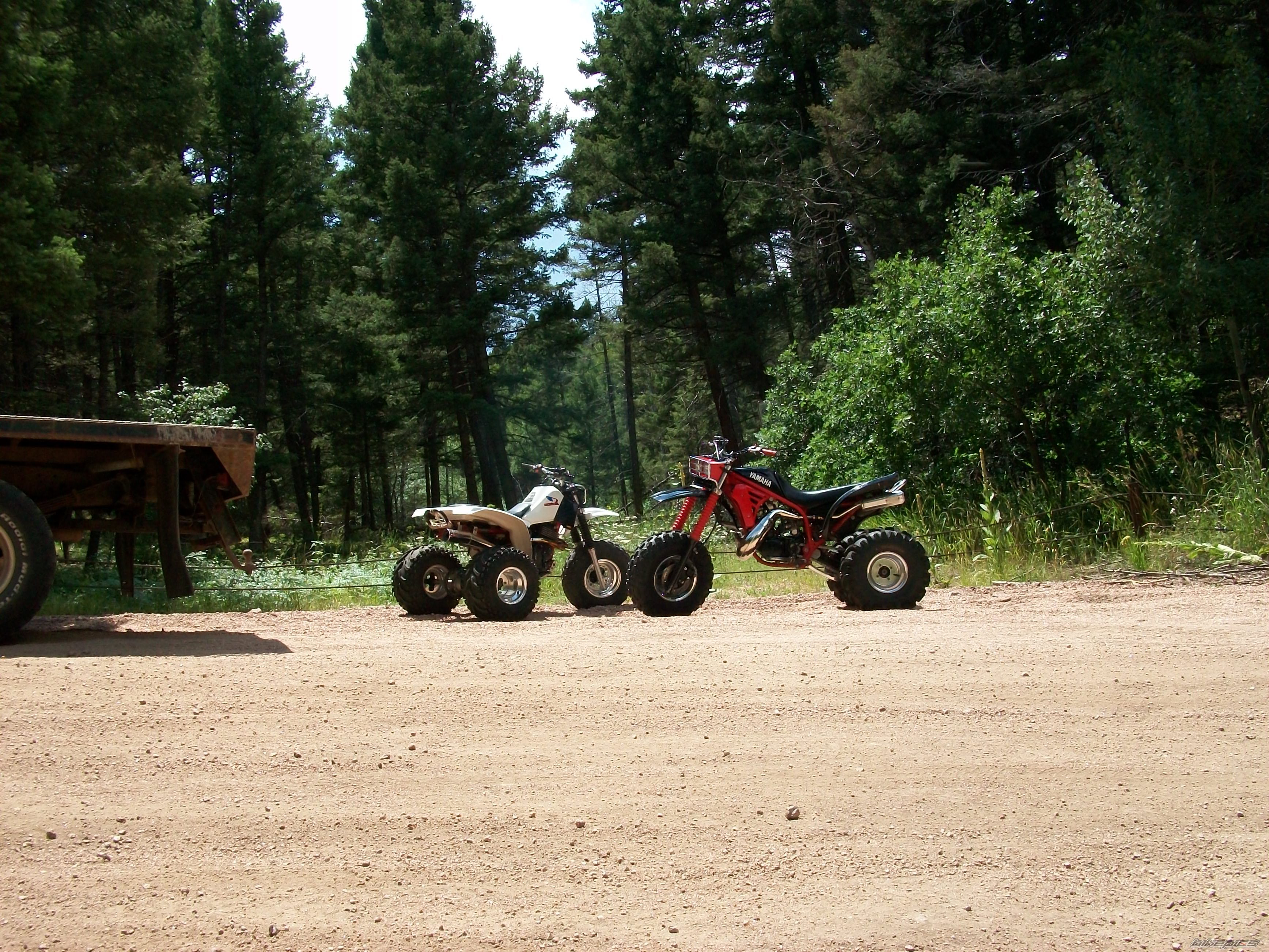 Photo 1752843