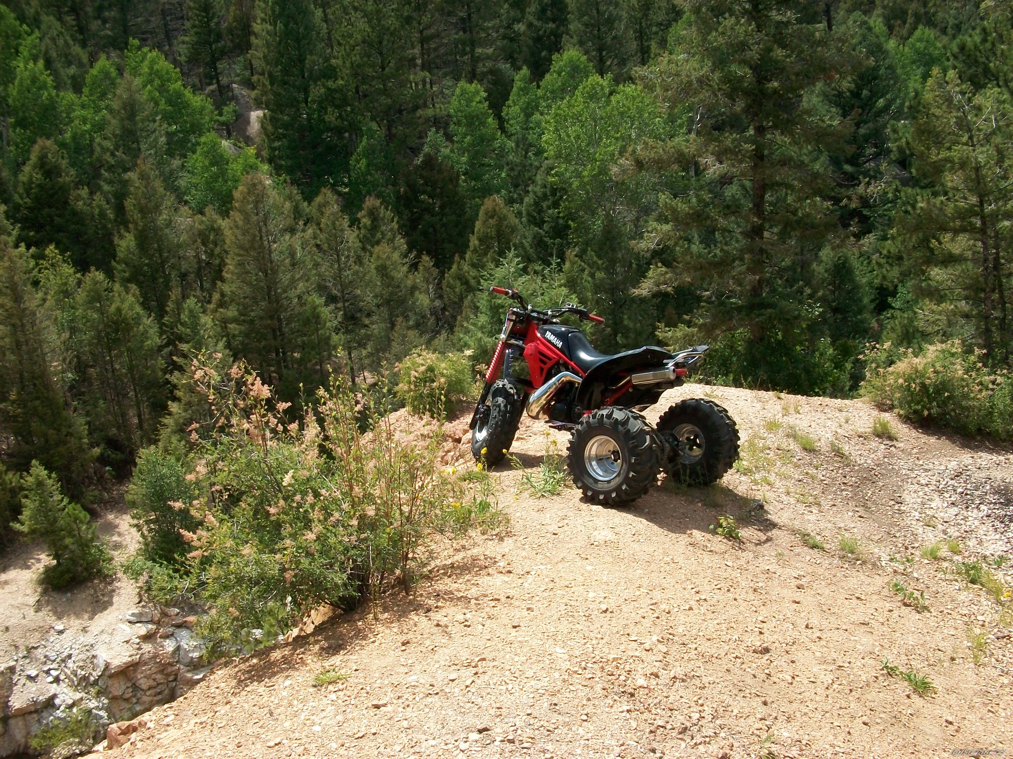 Photo 1752855