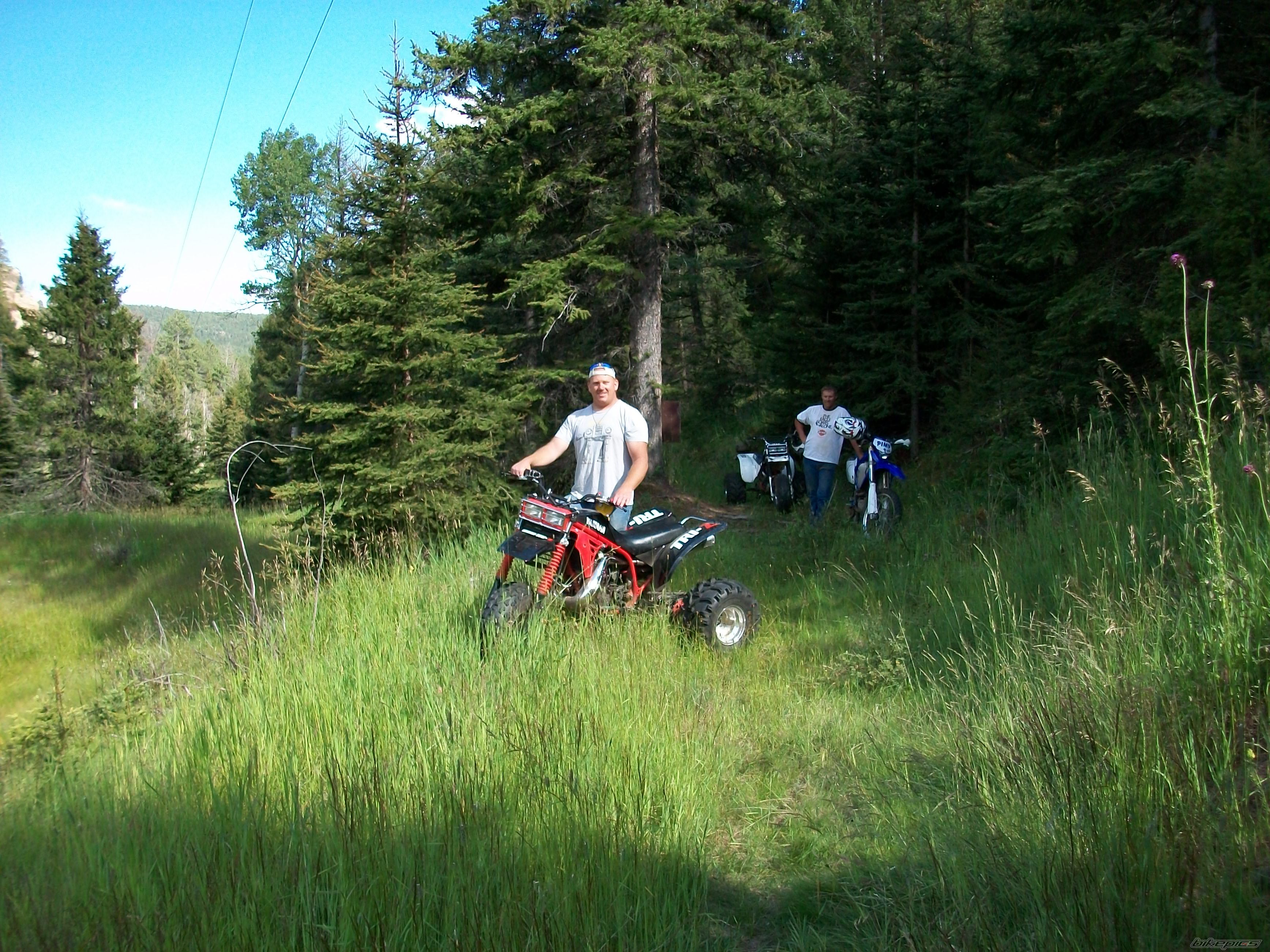 Photo 1752856
