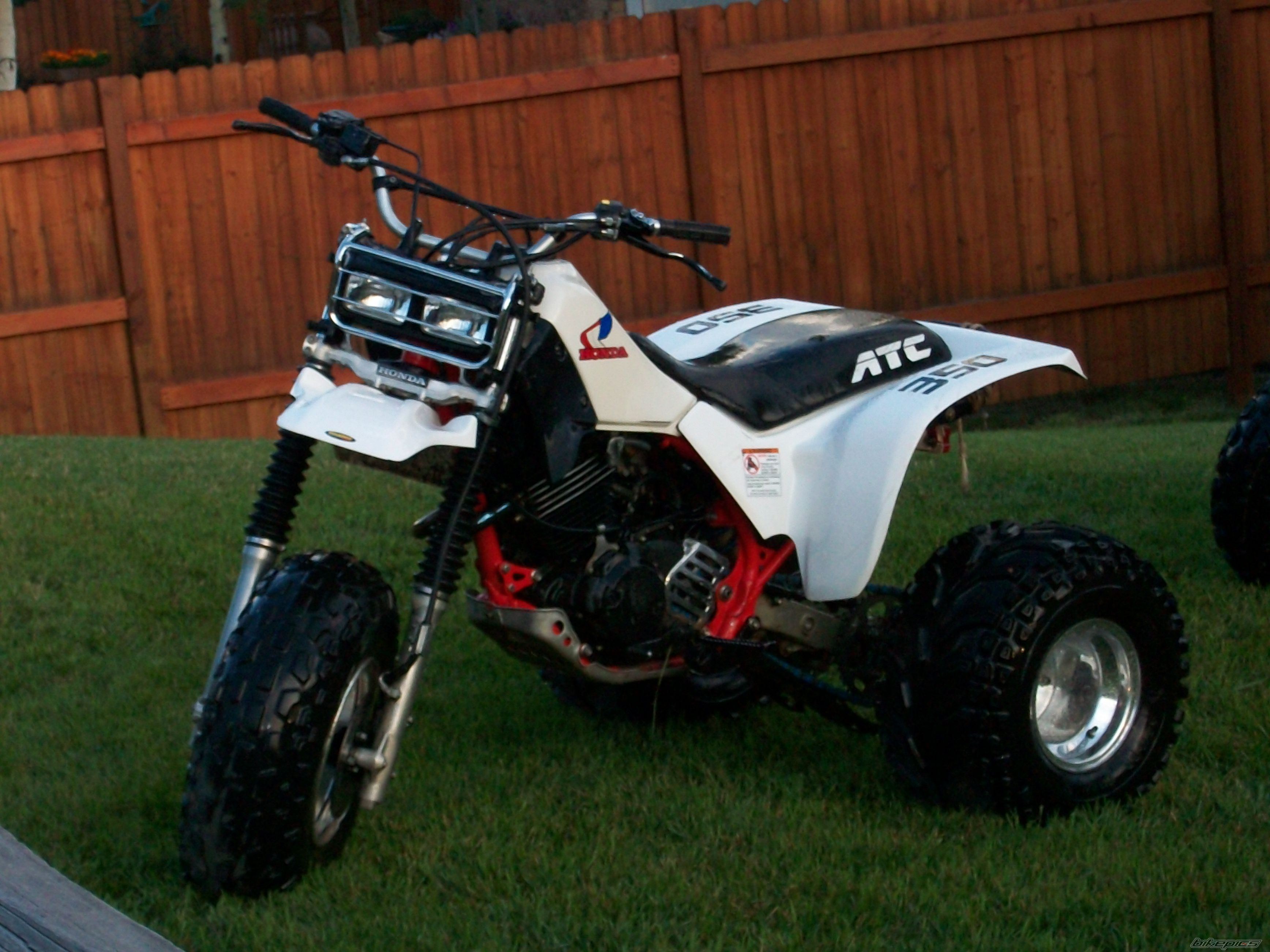 Photo 1752858