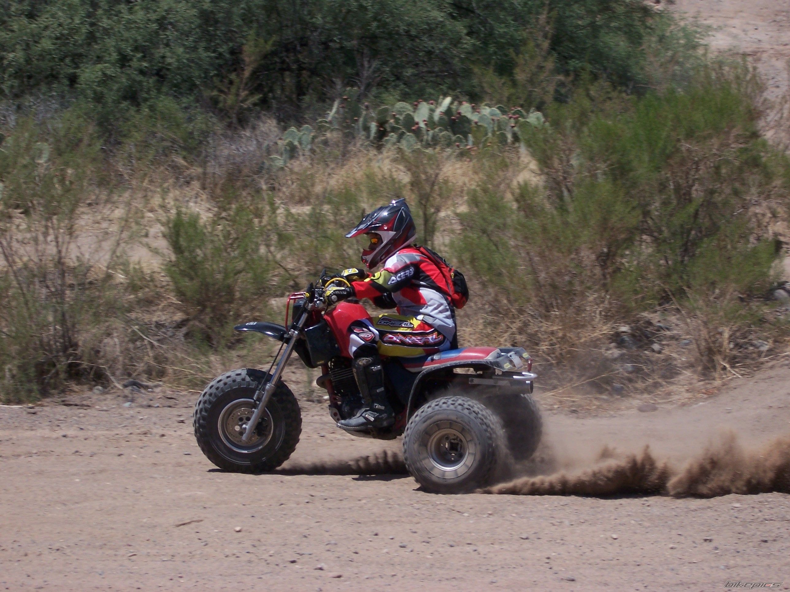Bike Photo 1752969