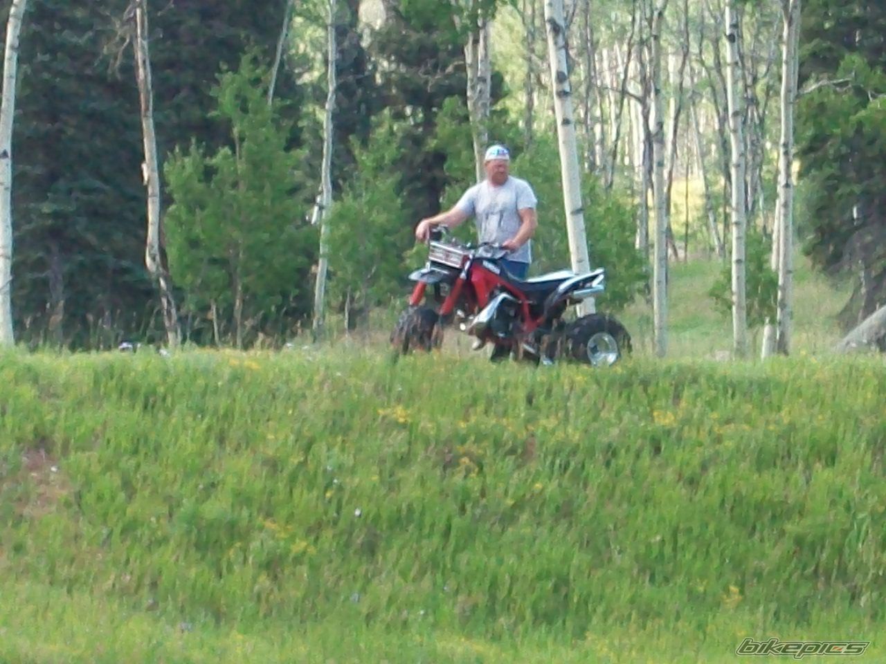 Photo 1753061