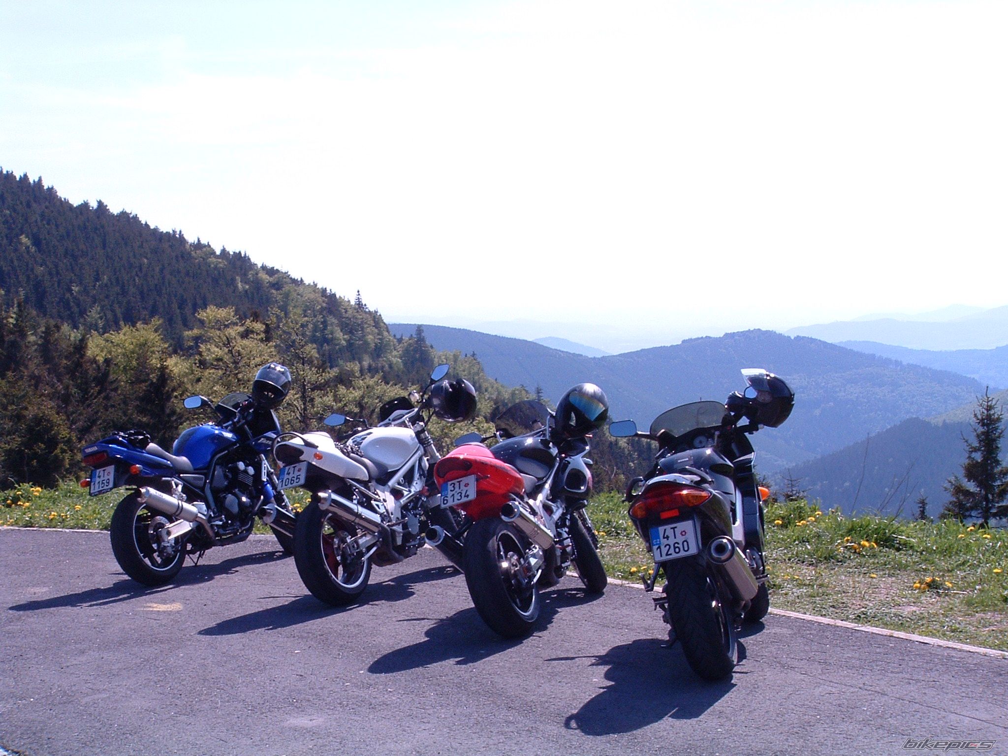 Photo 1753182