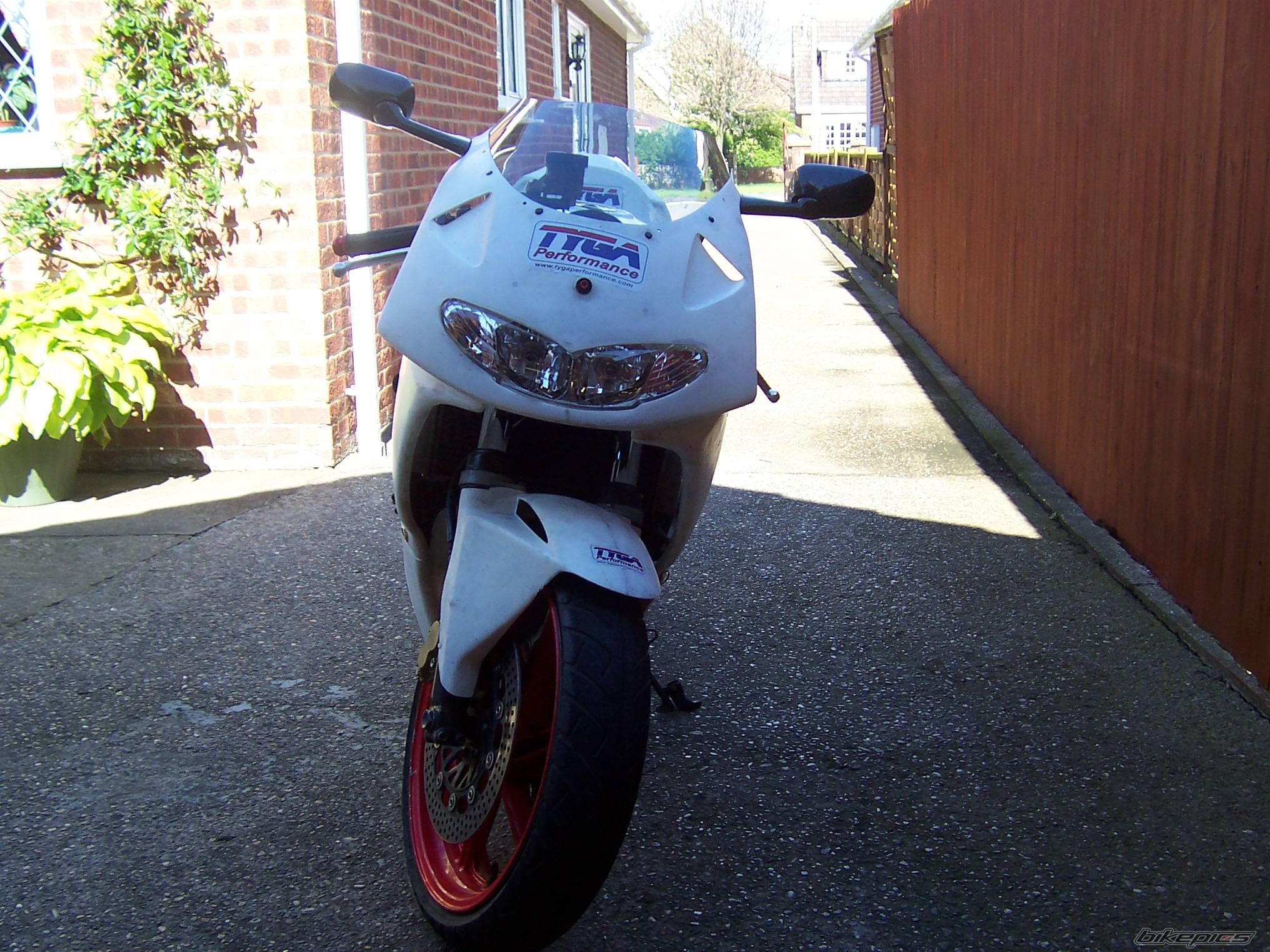 Photo 175338
