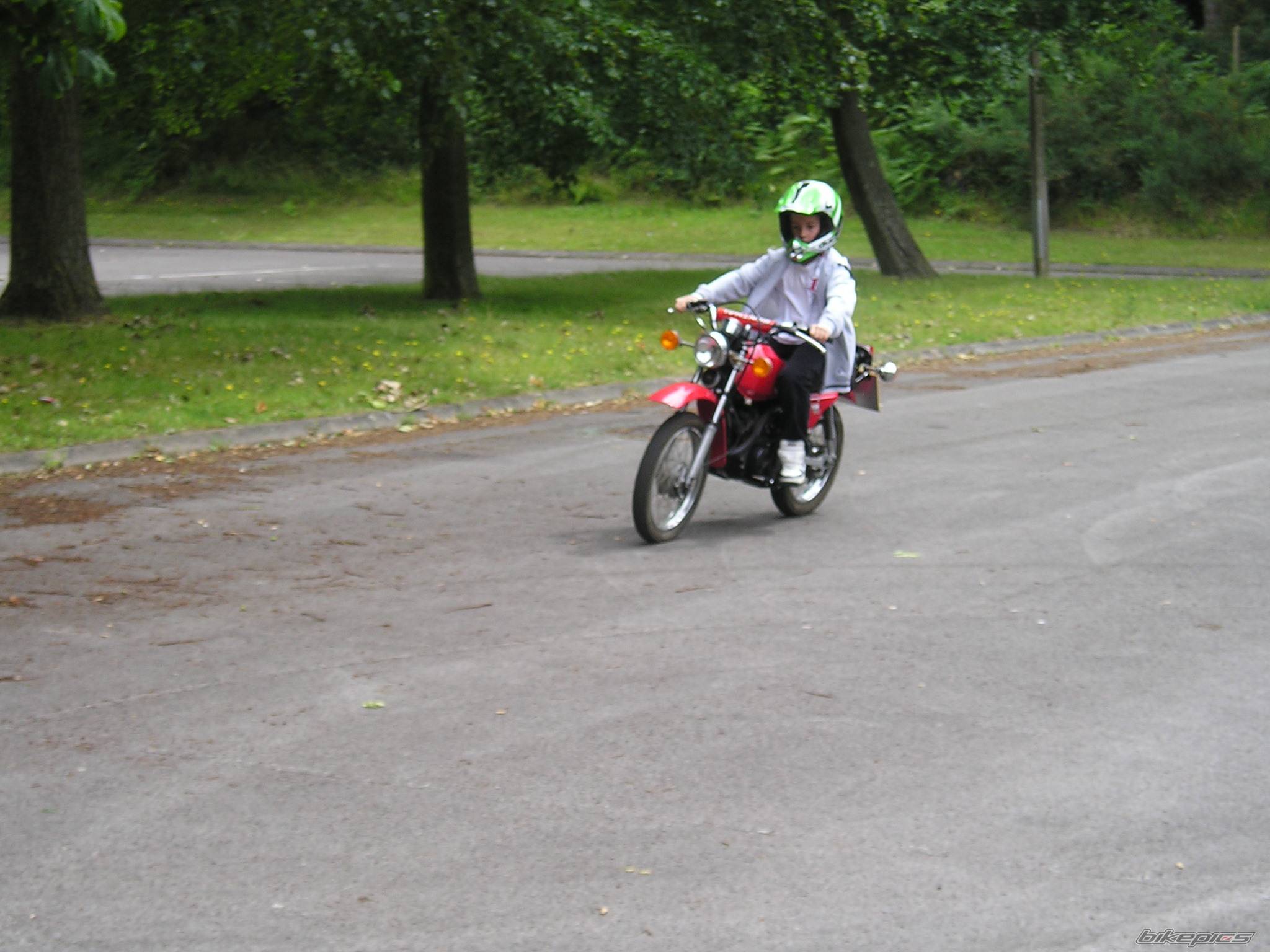 Photo 175342