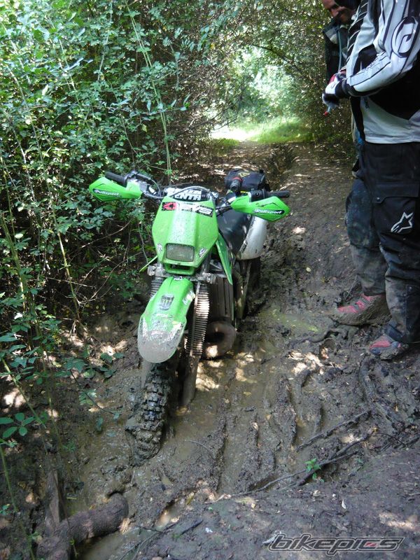 Photo 1753516