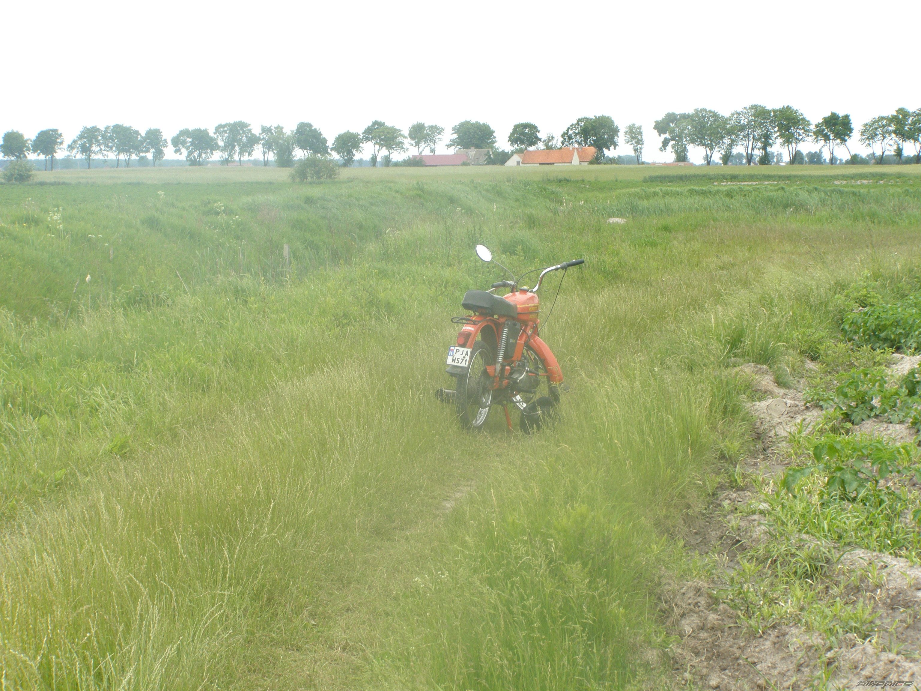 Photo 1753569