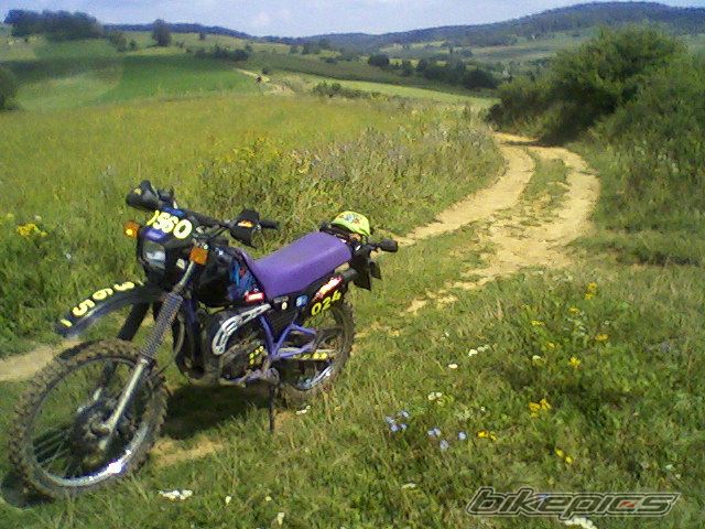 Bike Photo 1753585