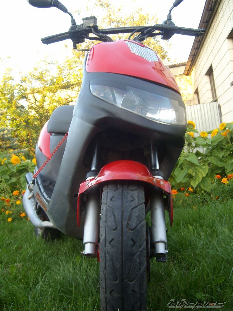 Photo 1753587