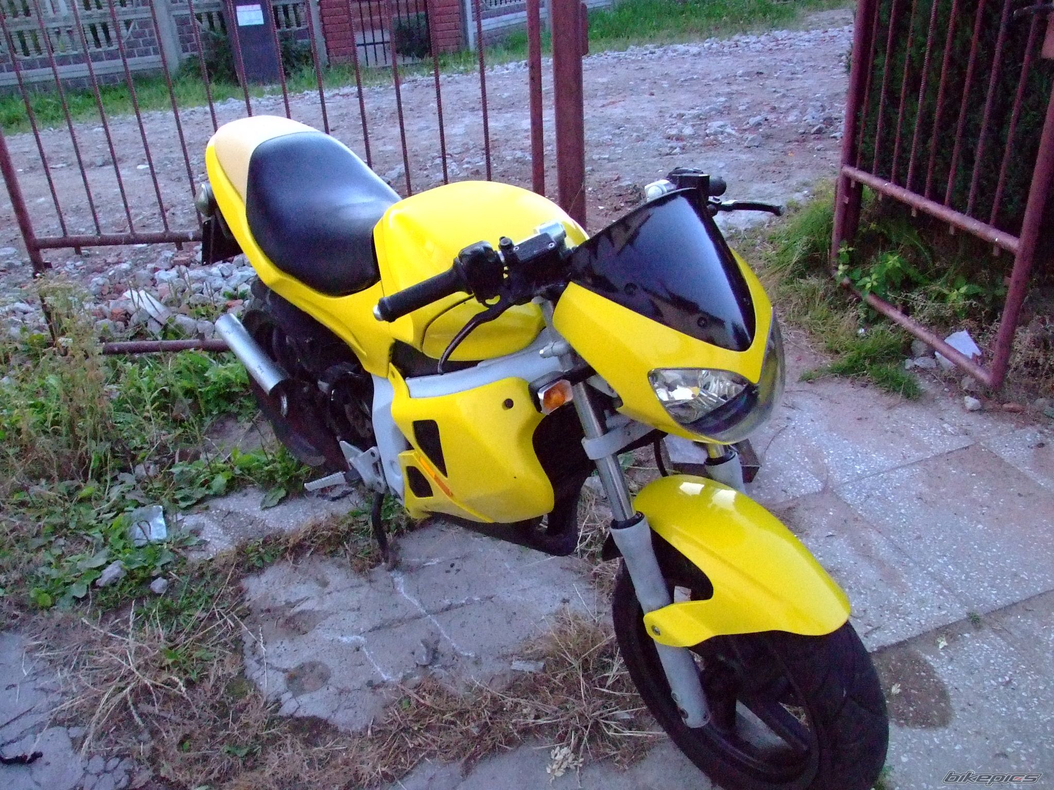 Photo 1753662