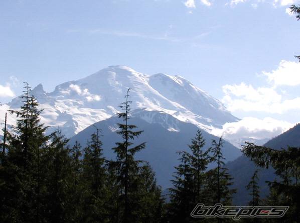 Photo 175382