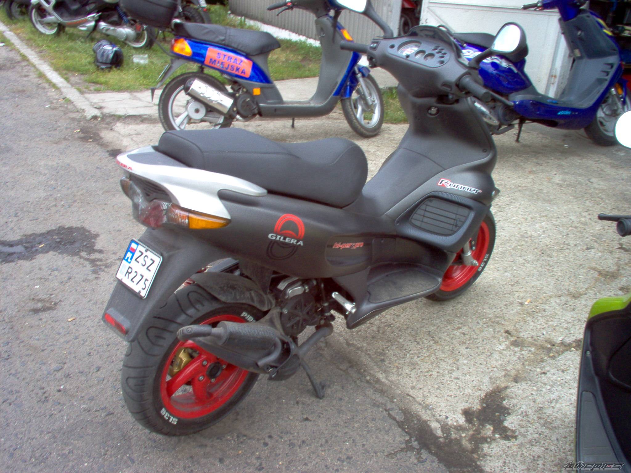 Photo 175389