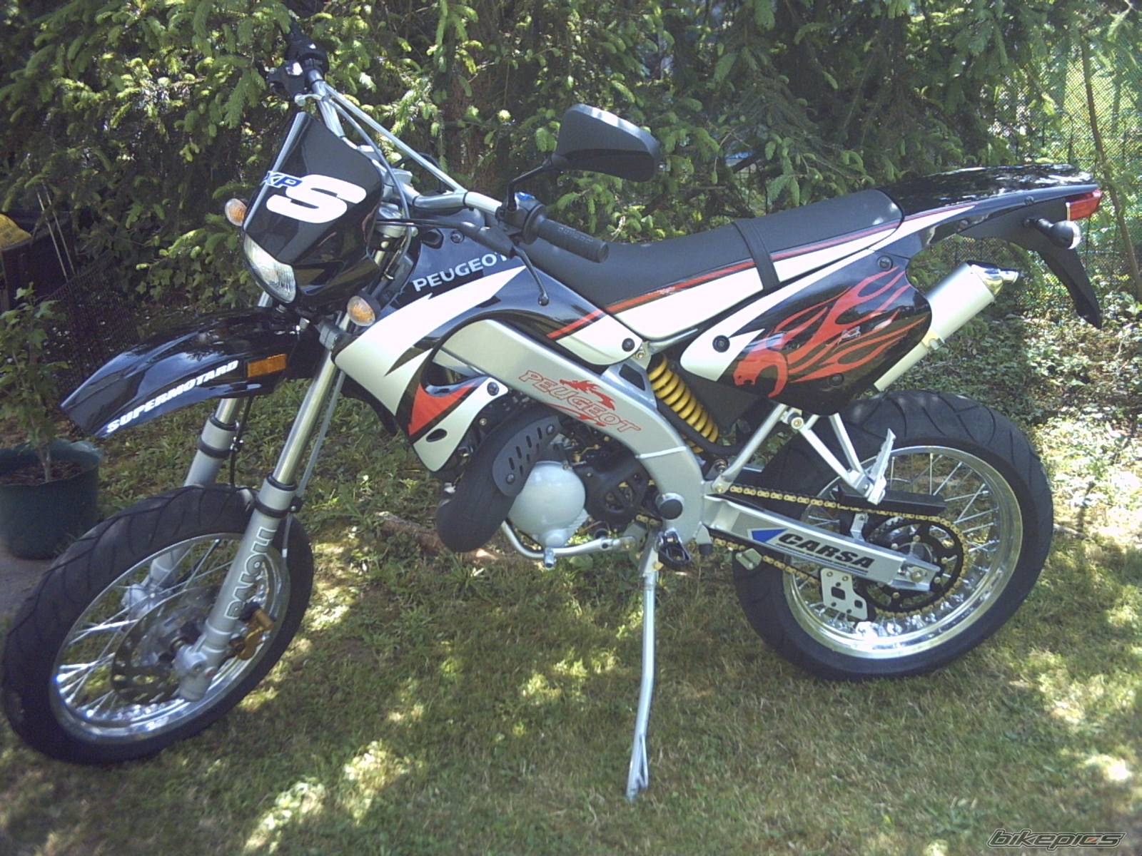 Photo 175390
