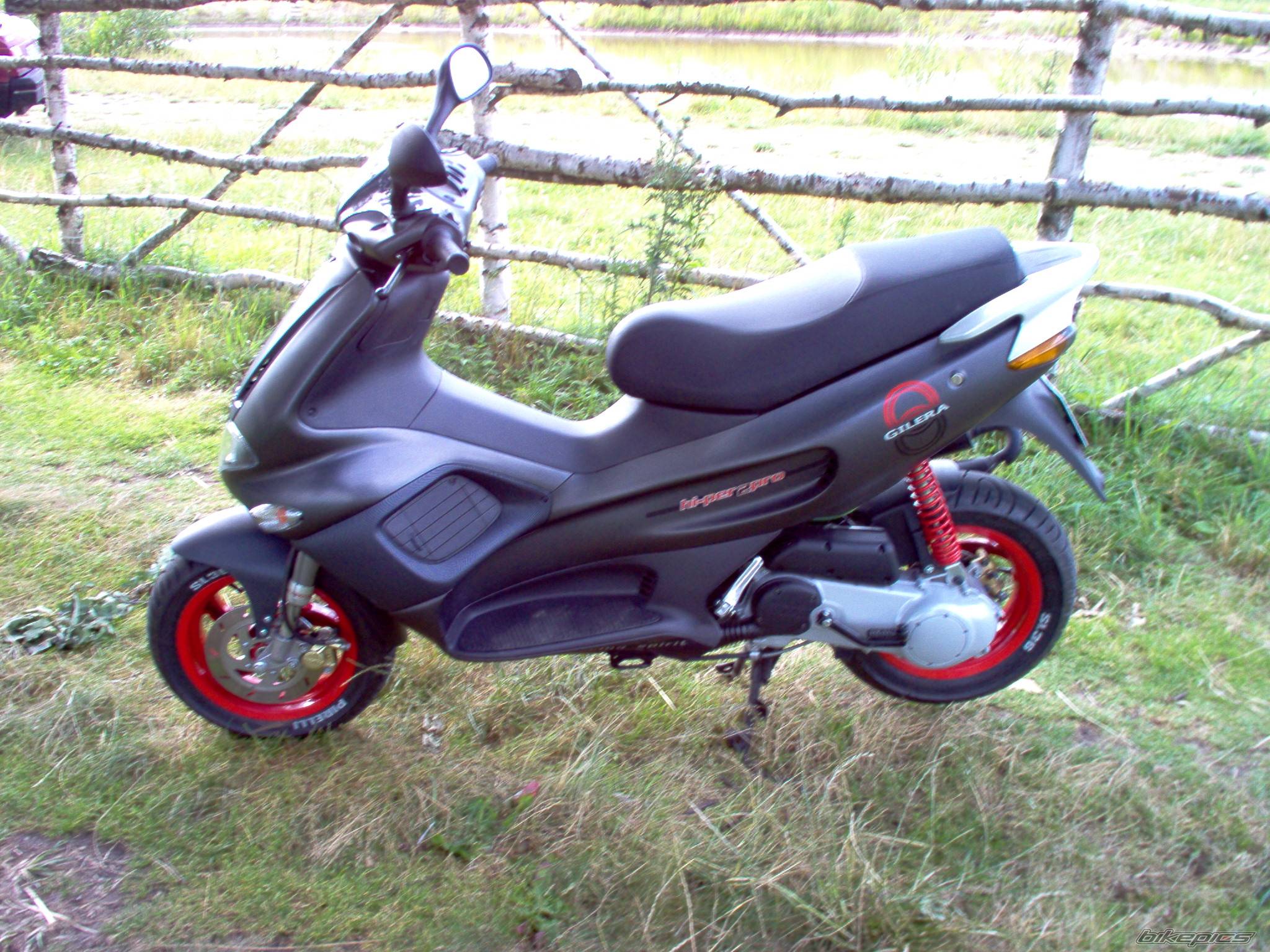 Photo 175393