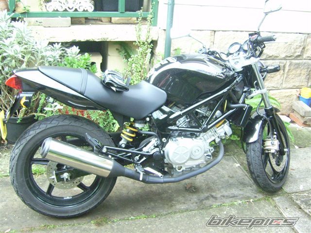 Photo 1754004